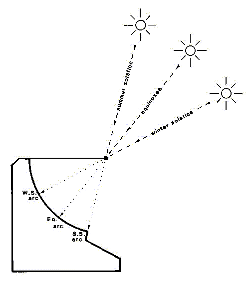 Figure 3: Diagrammatic section of a hemicyclium